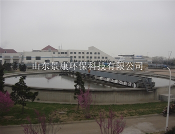 全桥式周边传动刮泥机